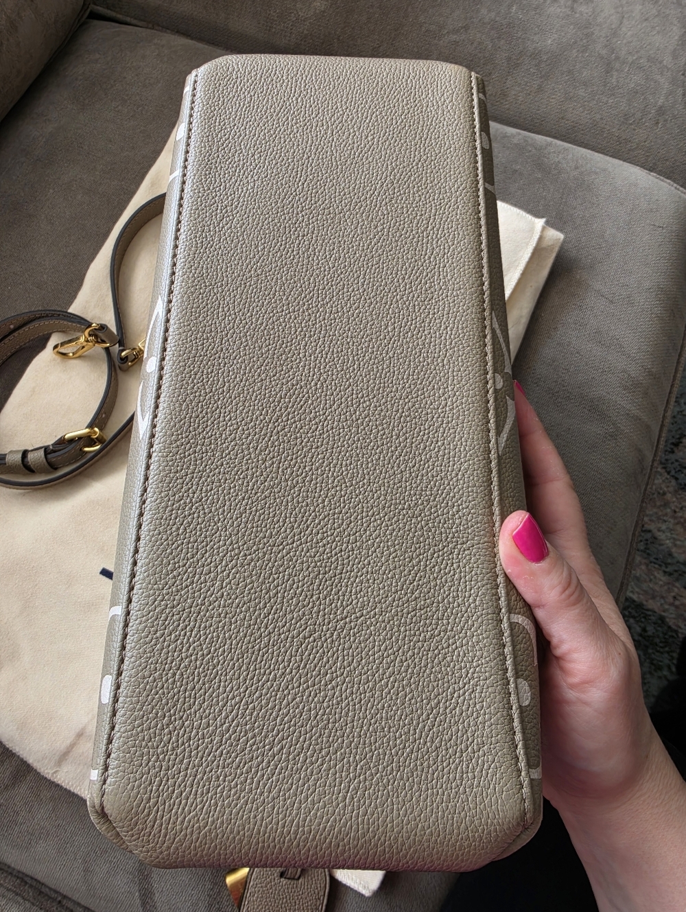 Louis Vuitton Bicolor Petit Palais in Dove/Cream - Picture 5 of 15